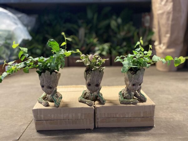 Root Man Resin Garden Planter