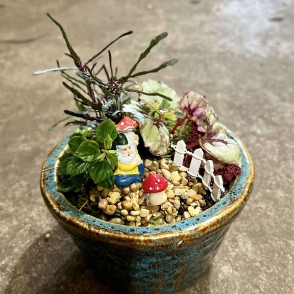 6" Fairy Garden