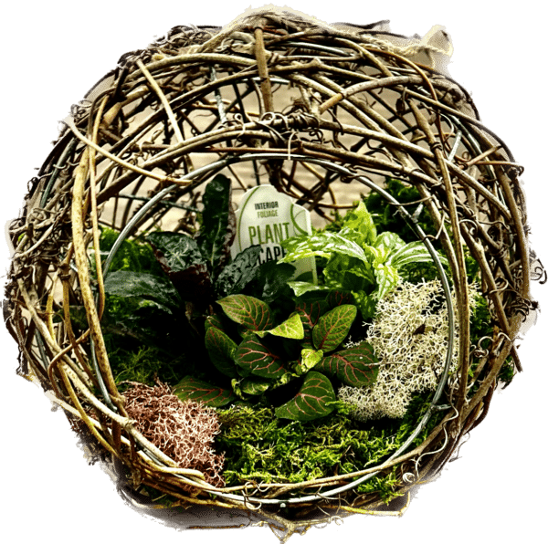 09" Grape Vine Ball