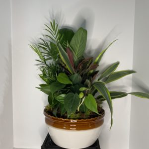 Medium 10" Ceramic planter garden