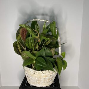 Medium 8" wicker planter garden