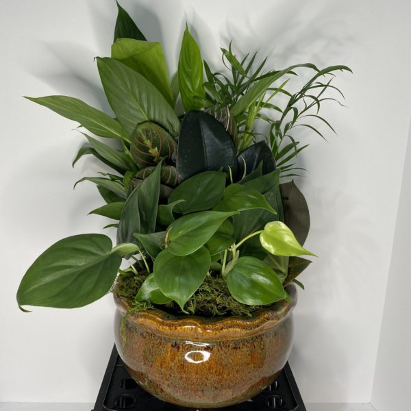 8" Ceramic Garden (MED) - Image 4