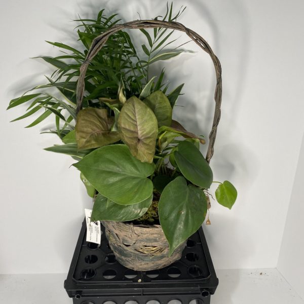 6" Wicker Garden (SM) - Image 3