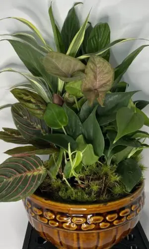 Medium 10" Ceramic planter garden