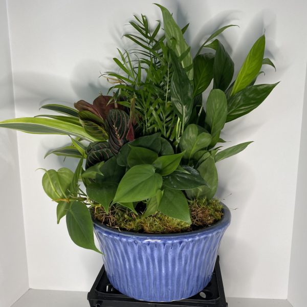 Medium 10" Ceramic planter garden