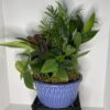 Medium 10" Ceramic planter garden