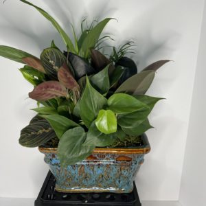 Medium 8" ceramic planter garden