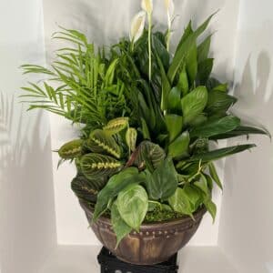 14" Ceramic planter garden