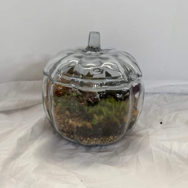 Pumpkin Jar Terrarium