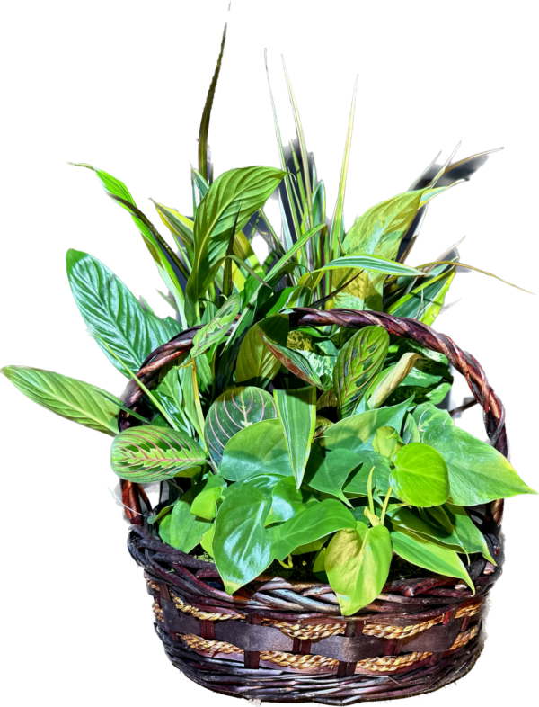 12" Wicker Basket Planter