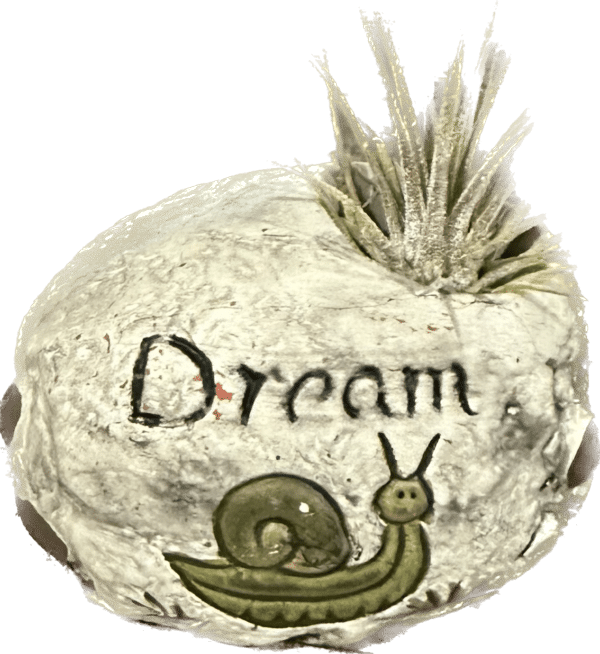 1 Air Plant Wisdom Rock