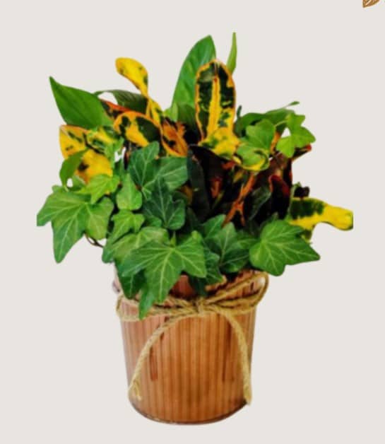 8" metal fluted pot tropical indoor planter with a fall theme