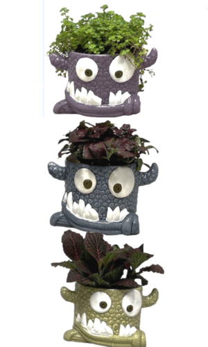 5" Snaggle Tooth Planter