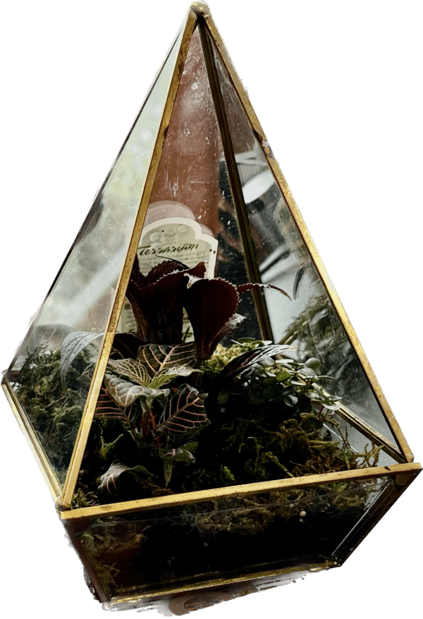 6" Terrarium Prism Glass