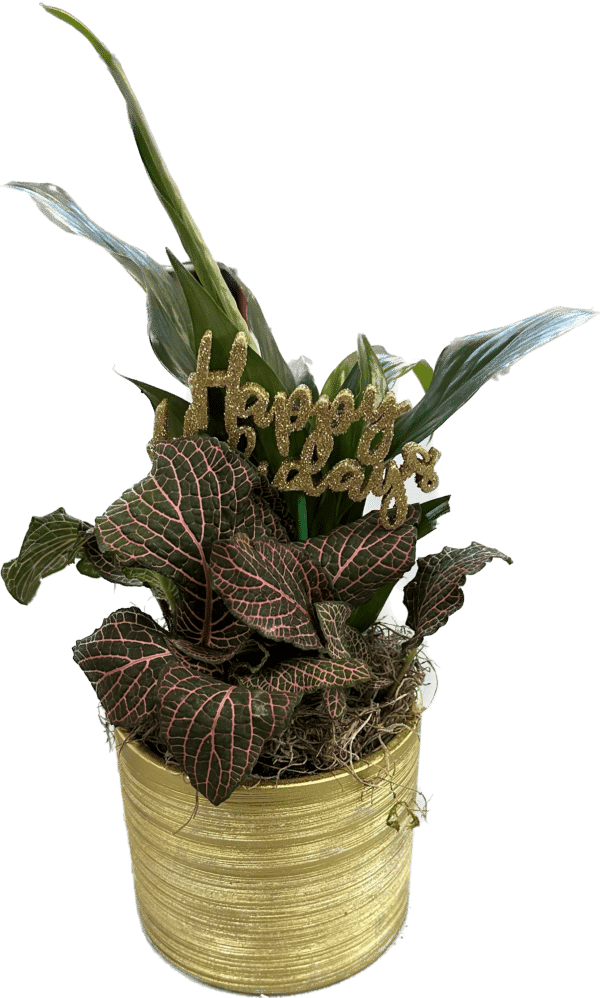 5" Happy Holidays Planter