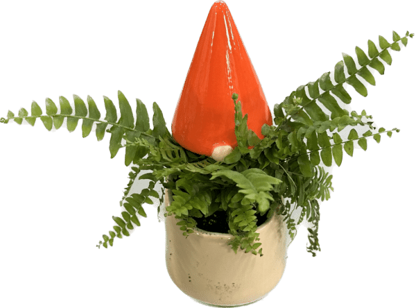 Bearded Gnome