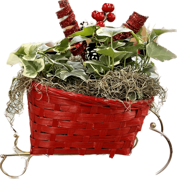 Christmas Sleigh Planter