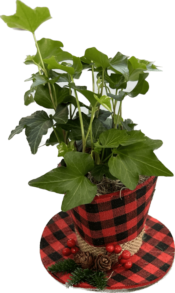 Frosty's Top Hat w/ Ivy