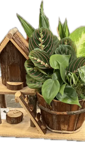 Birdhouse Planter Large