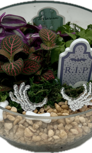 Cemetarium Halloween Garden