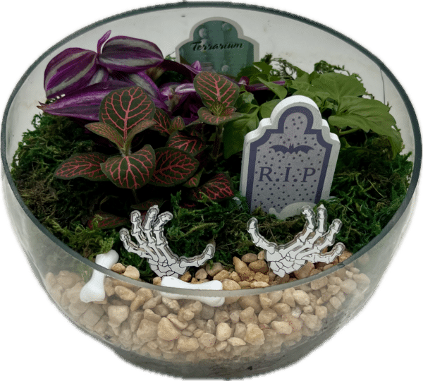 Cemetarium Halloween Garden