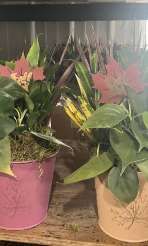 5" Metal Fall Garden